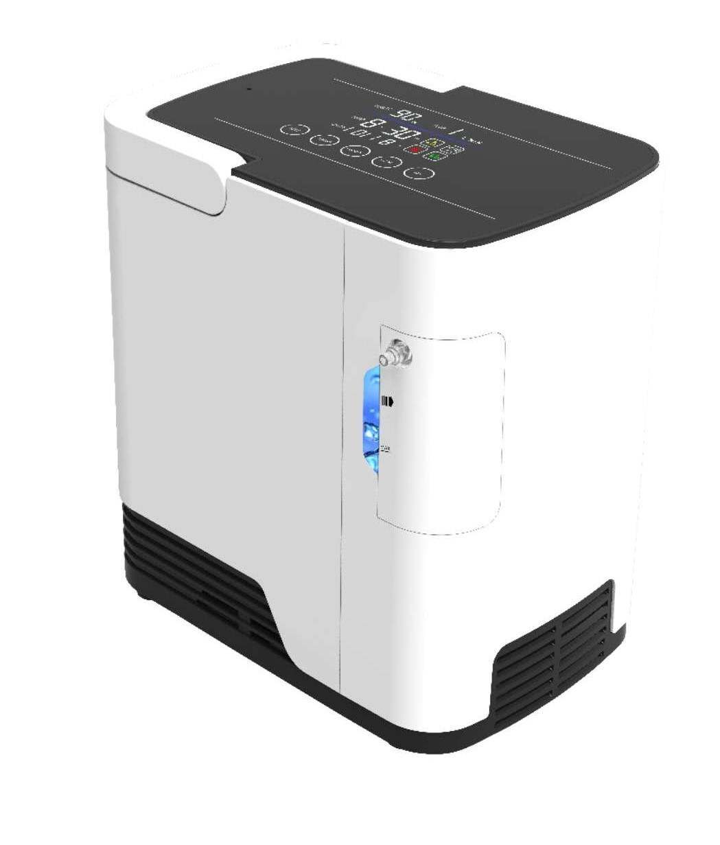 
                1L Oxygen Concentrator Portable with High Purity Oxygen Flow
            